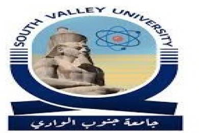 South Valley University