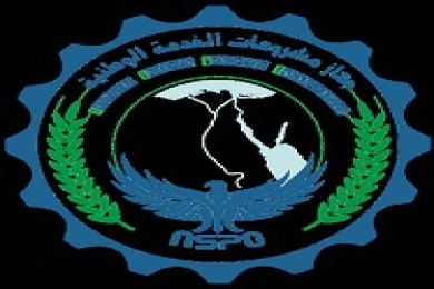 National Service Projects Organization